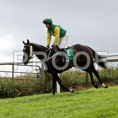 First Beauty - 3rd ,Jockey, M  N Doran   -FT8E3865-e
