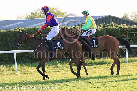 01st The Last Mardi and H.C. Swan(7) (1 ,yelow, light green sleeves ), Trainer:Gordon Elliott , Owner:Sheila O'Ryan, Tom  Lenka Meagher