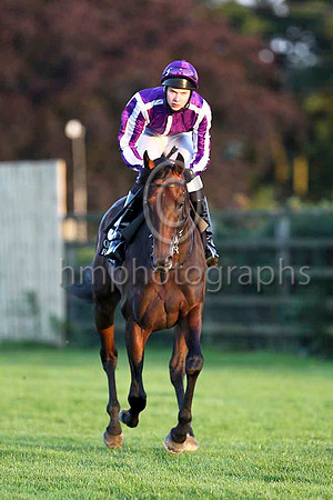 Chicago & J O'Brien - Winner (5, purple, white seams) - CU2D3513-e