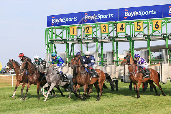 The start of Her Majesty's Plate (Listed Race) at Down ROyal on Friday 23rd July 2021