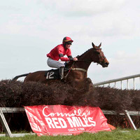 2011/04/26th - Race 4 - East Antrim Point to Point