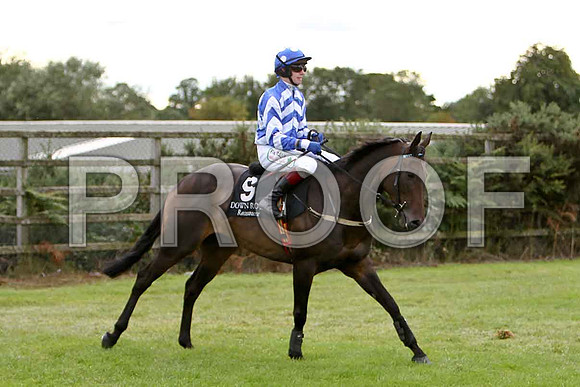 Allyonice , Jockey P Townend - CU2D1990-e