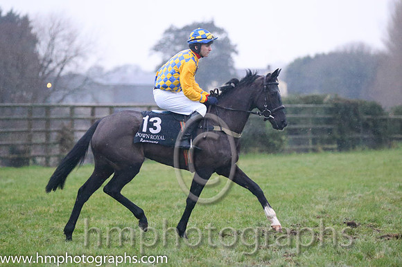 08 Malikad and Mr N Gault - - 08th (13 ,royal blue and yellow check ) Trainer - H Smyth