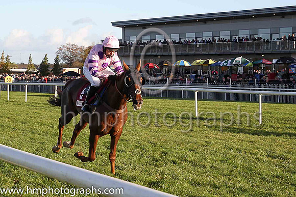 02nd Silviniaco Conti and N D Fehily ( 5 , pink,large purple spots ) Trainer - P F Nicholls , Owner - Chris Giles  Potensis Bloodstock Ltd