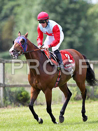 Desert Ben 3rd, Jockey O Casey - FT8E1467-e