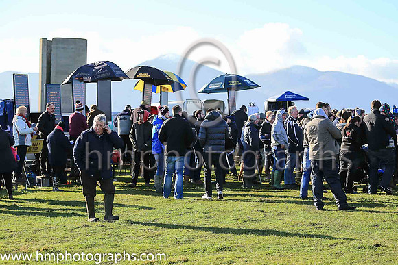 Betting Ring at Tyrella Point to Point