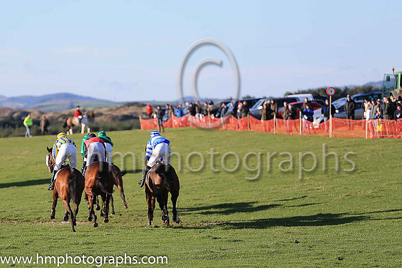 Tyrella P2P