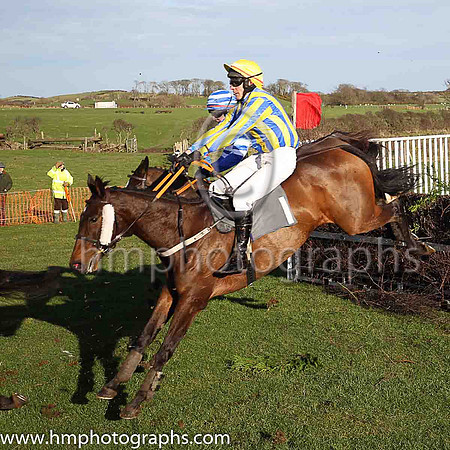 04th ARCTIC ROBIN and R Devine ( 1 , ROYAL BLUE  YELLOW STRIPES; royal blue  yellow striped sleeves; yellow cap ) Trainer: Mrs Sarah Dawson,, Owner : Mrs Sarah Dawson