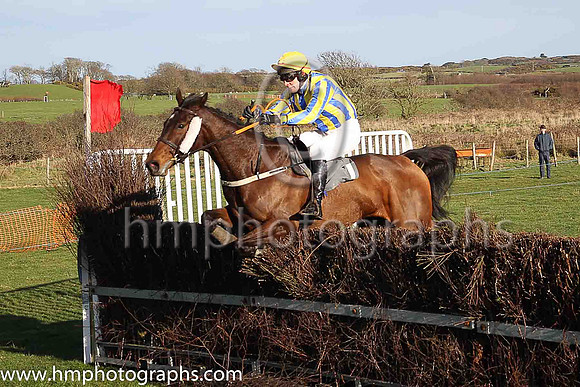 04th ARCTIC ROBIN and R Devine ( 1 , ROYAL BLUE  YELLOW STRIPES; royal blue  yellow striped sleeves; yellow cap ) Trainer: Mrs Sarah Dawson,, Owner : Mrs Sarah Dawson