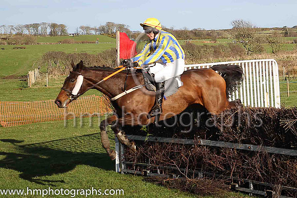 04th ARCTIC ROBIN and R Devine ( 1 , ROYAL BLUE  YELLOW STRIPES; royal blue  yellow striped sleeves; yellow cap ) Trainer: Mrs Sarah Dawson,, Owner : Mrs Sarah Dawson