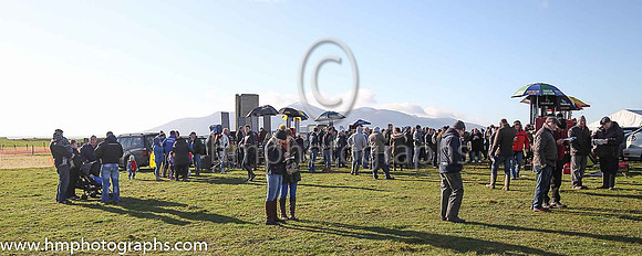 Tyrella P2P