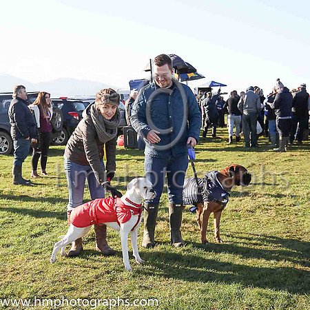 Ellen Kirkpatrick and Jonny Graham from Moneyreagh with boxers Tara and Ralph at Tyrella P2P