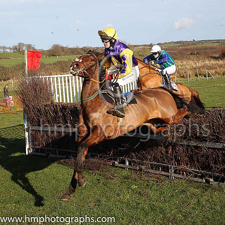 03rd FENLONS COURT and J Fitzgerald ( 10 , PURPLE,yellow diamond; yellow sleeves,purple diamond; yellow cap ) Trainer: Michael Goff,, Owner : Michael John Redmond