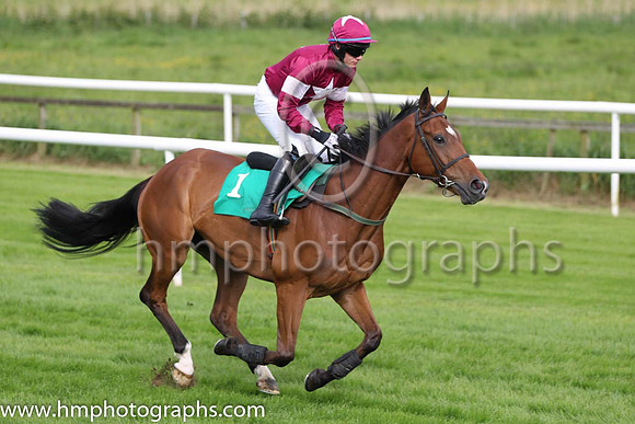 13 Rough Justice & P Townend - U (1, maroon, white star) - FT8E7475-20