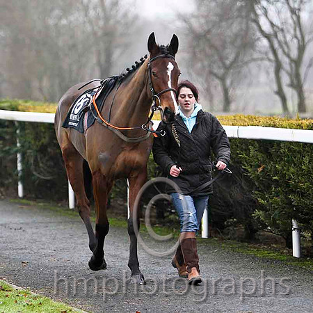 Izind an affair - Jockey E J O'Connell - 15th CU2D1760-e