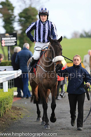 05th Steamboat Bill and David Mullins ( 2 , dark blue and mauve stripes ) Trainer - G Elliott , Owner - Thomas Brian McKnight