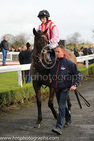 01st Honest Robber and Rachael Blackmore ( 10 , pink and red stripes ) Trainer - J J Hanlon , Owner - Mrs T C Collins