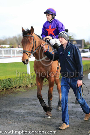 U Ardmillan and R C Colgan ( 7 , purple, red star ) Trainer - S R B Crawford , Owner - Miss E Hamilton