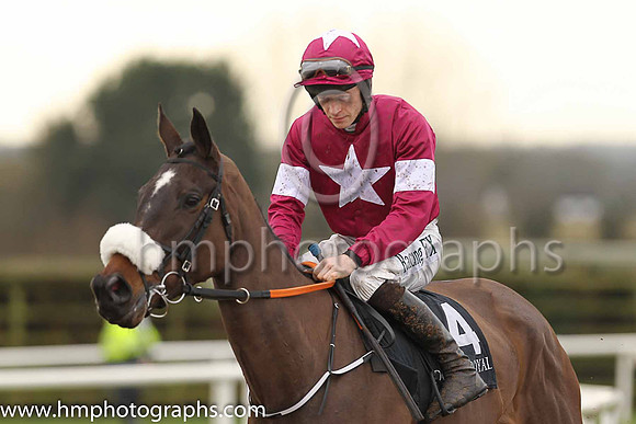 PU Chesapeake and D Mullins ( 14 , maroon, white star ) Trainer - G Elliott , Owner - Gigginstown House Stud