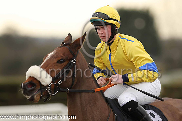 04th Folly Dat and D P Maher ( 9 , yellow, royal blue seams ) Trainer - G Elliott , Owner - J J Taylor