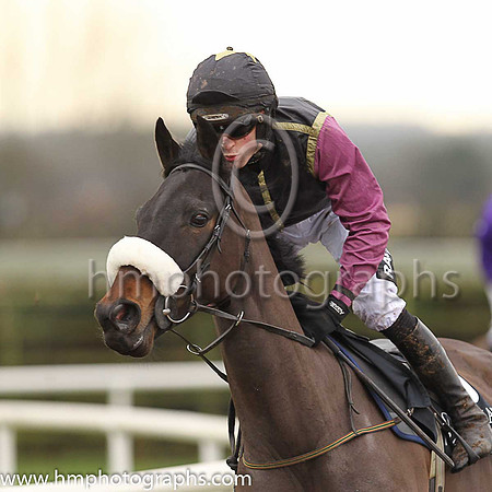 03rd Hide The Biscuit and D E Mullins ( 10 , black, yellow seams ) Trainer - M Torrens , Owner - Ms Anne Torrens