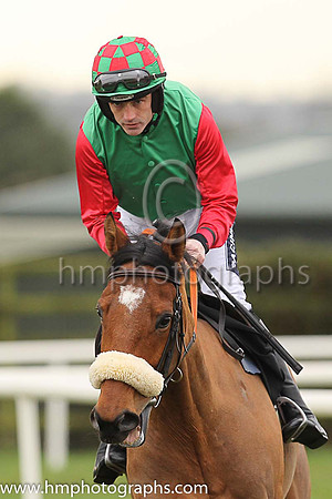 09th Lyreen Lad and R Walsh ( 6 , emerald green, red sleeves ) Trainer - A J Martin , Owner - Lyreen Syndicate