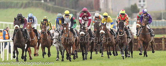 PU Chesapeake and D Mullins ( 14 , maroon, white star ) Trainer - G Elliott , Owner - Gigginstown House Stud