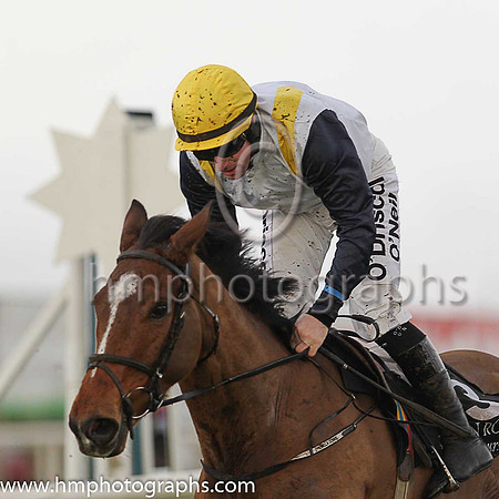 02nd Well Joey and S W Flanagan ( 3 , white, yellow epaulettes ) Trainer - Mrs P Dobbs , Owner - Ten For The Craic Syndicate