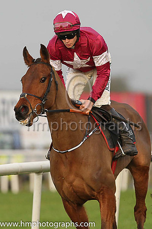 04th Usurp and D J Mullins ( 4 , maroon, white star ) Trainer - G Elliott , Owner - Gigginstown House Stud