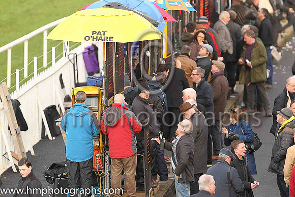 Crowd at Down Royal