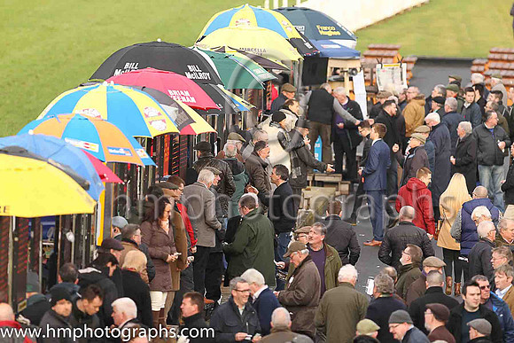 Crowd at Down Royal