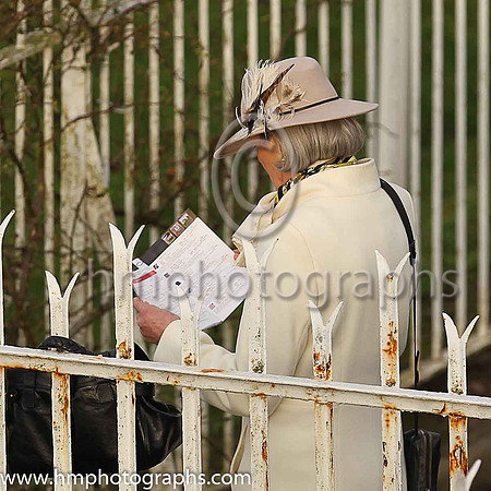 Spectator at Down Royal