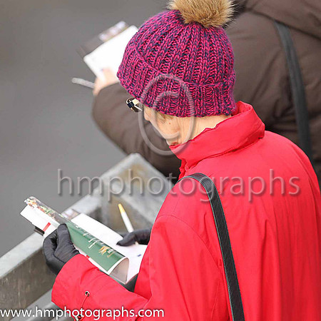 Spectator at Down Royal