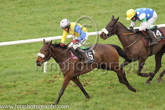03rd Swift and M A Enright ( 15 , royal blue and yellow hlvd ) Trainer - J W Nicholson , Owner - Fair Of Borris Syndicate