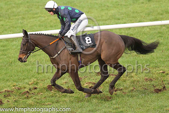 12th Stay With It and B Hayes ( 8 , dark blue, emerald green spot ) Trainer - Andrew McNamara , Owner - Mrs Rhona McNamara