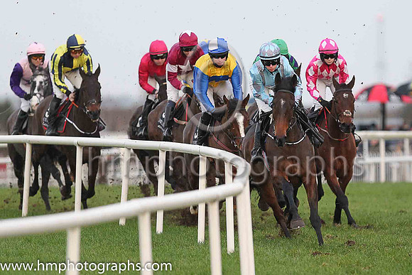 04th Indrik and Miss S O'Brien ( 2 , light blue, grey braces ) Trainer - Joseph P O'Brien , Owner - Annus Mirabilis Syndicate