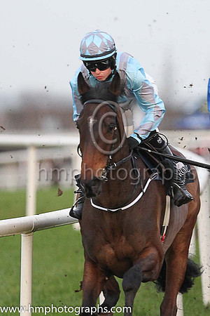 04th Indrik and Miss S O'Brien ( 2 , light blue, grey braces ) Trainer - Joseph P O'Brien , Owner - Annus Mirabilis Syndicate
