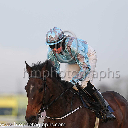 04th Indrik and Miss S O'Brien ( 2 , light blue, grey braces ) Trainer - Joseph P O'Brien , Owner - Annus Mirabilis Syndicate