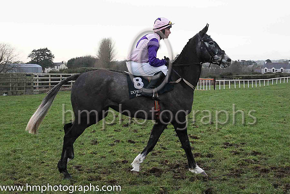 09th Pigeon Butler and Mr N Gault ( 8 , pink, purple star and sleeves ) Trainer - H Smyth , Owner - L H Burke
