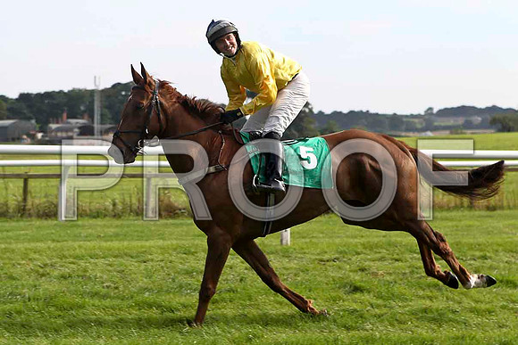 Finnegan express, 11th Jockey Mr J Creswell - FT8E3176-e