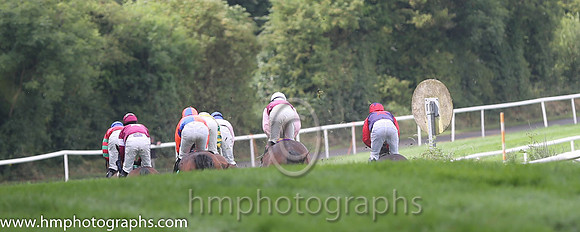 Downpatrick Race Course - Down The Hill - AA1V0844
