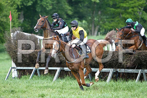 Fourth Race - High Chief (8) PU, Rider Ms O'Neill, Dodgey Dream (4) 3rd, Rider M J O'Hare & St Matthew (14) 4th, Rider J J smith- CU2D9608-e