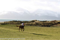 12 Archview Sunshine (7) & Miss H McGahan - UR Trainer : Holly McGahan, Red and White Qtrs,green cap