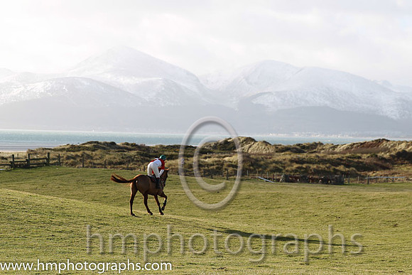 12 Archview Sunshine (7) & Miss H McGahan - UR Trainer : Holly McGahan, Red and White Qtrs,green cap
