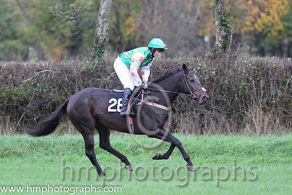 01 Lawless Island & R A Latta - winner (28, emerald green, orange spots) - FT8E9339-6