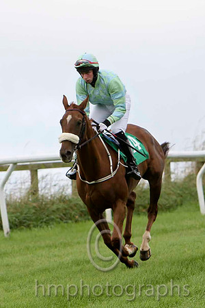Connemara Kate , Jockey P D Kennedy - 5th - CU2D2219-e