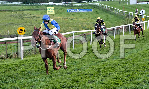 Uncle Jacko , 2nd, Jockey - Mr N M Kelly - CU2D9328-e