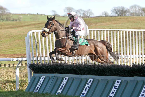 Pink Goddess (11) & K Whelan - 2nd - FT8E9824-e