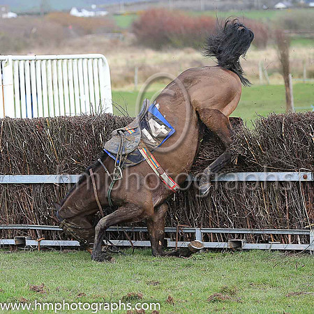 GORAGH WOOD and T Reilly ( 14 , BLACK,green stripe; black sleeves,green armlet; black cap ) Trainer: Liam Lennon,, Owner : Peter Joseph McParland