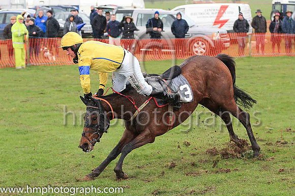 AFAREEN and B O'Neill ( 3 , YELLOW,royal blue seams; yellow sleeves,royal blue armlet; yellow cap ) Trainer: Daniel A. Fitzsimmons , Owner : Taylor, J.J.